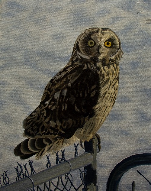 painting of owl on fencepost