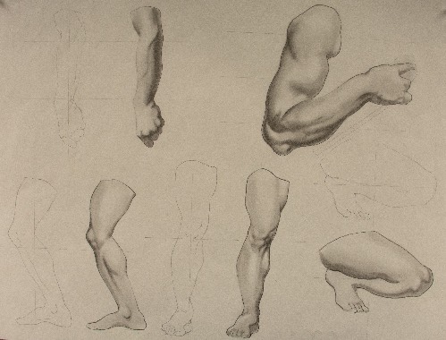 charcoal study of human arm and leg