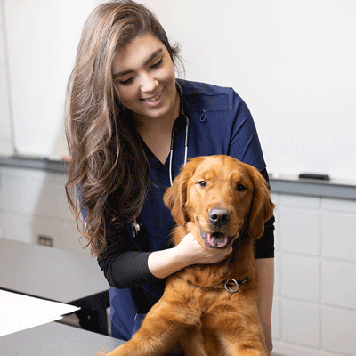 Two students with live dog in lab
